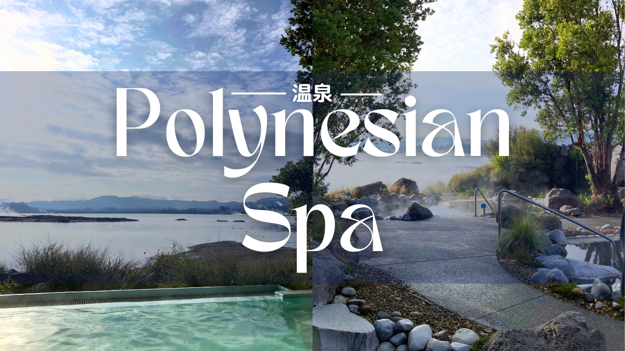 温泉Polynesian Spa【知りたい！現地の暮らし】